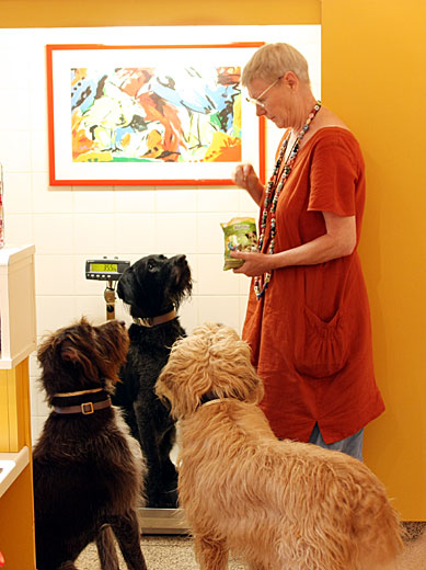 Dr. Michels-Rosbach mit ihren Hunden